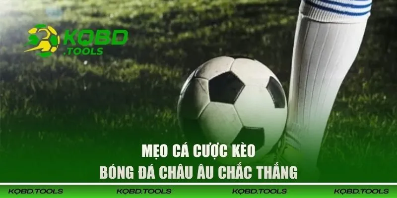 Kèo Tài Xỉu Tại KQBD | Cách Đọc Kèo Chuẩn Xác Cho Tân Binh 3 Chiến thuật cược kèo bóng đá Tài Xỉu thắng đậm